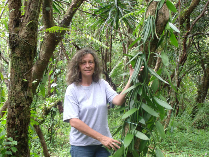 Maryse Mounier dans la plantation de Vanilla Bourbon